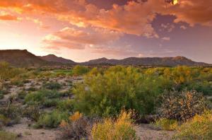 Famous Arizona Sunsets in Desert Mountain Scottsdale Enjoy Arizona Sunsets