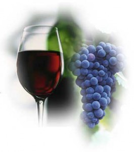 Desert Mountain Wine Events Desert Mountain Wine Events