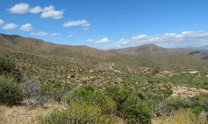 Desert Mountain Real Estate AZ