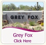 Grey Fox Homes For Sale in Desert Mountain Scottsdale AZ Grey Fox Homes For Sale in Desert Mountain Scottsdale AZ