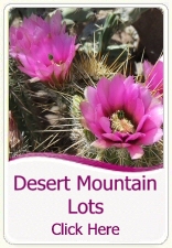 Desert Mountain Lots