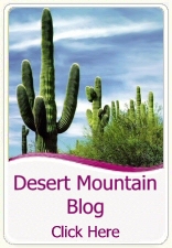 The Scottsdale Experts Desert Mountain Blog