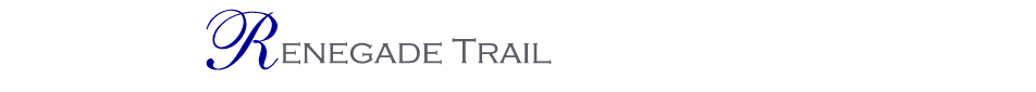 Desert Mountain Renegade Trail Homes For Sale