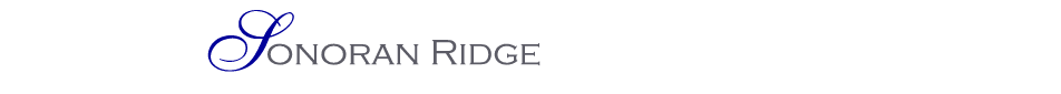 Sonoran Ridge Homes For Sale in Desert Mountain AZ