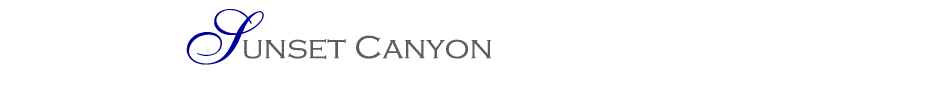 Desert Mountain Sunset Canyon Homes For Sale