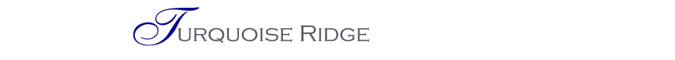 Turquoise Ridge Homes For Sale in Desert Mountain AZ