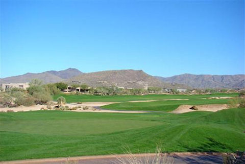 Village of Gambel Quail