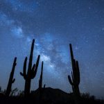 Come Out for a Full Moon Hike at Desert Mountain Trails