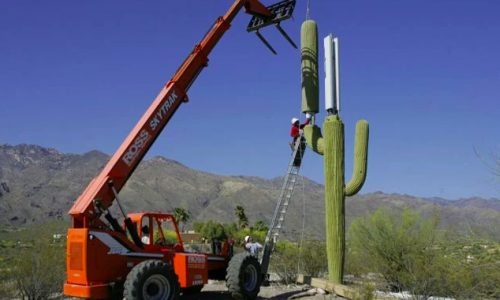 Cactus Cell Towers in Desert Mountain