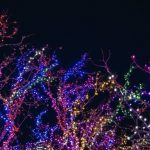 Holiday Lighting Guidelines for Desert Mountain Homeowners