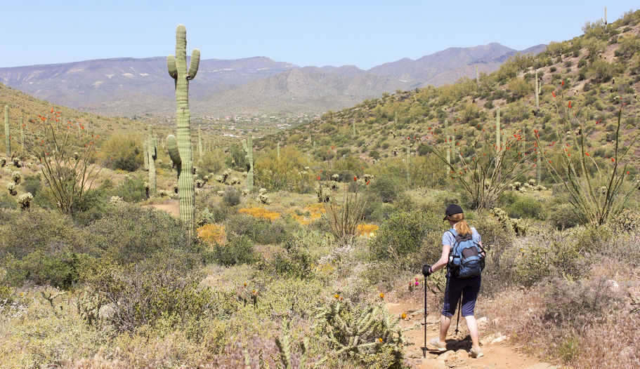 Hiking Safety Tips for Desert Mountain Residents — Desert Mountain Homes